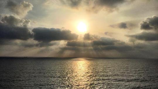 NFT Poetry LINES : Poetry by John Poch