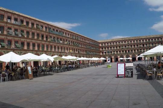 Study Abroad with Dr. Poch in Rome, Italy in 2022